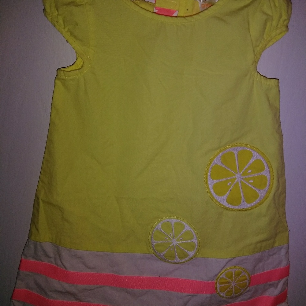 Gymboree dress with diaper holder underwear
